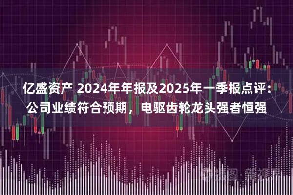 亿盛资产 2024年年报及2025年一季报点评：公司业绩符合预期，电驱齿轮龙头强者恒强
