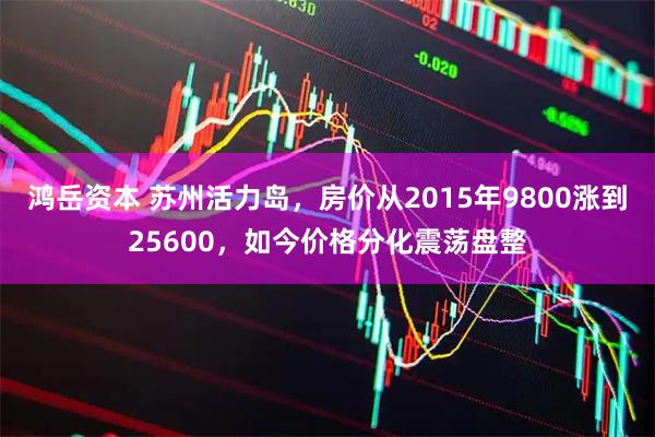 鸿岳资本 苏州活力岛，房价从2015年9800涨到25600，如今价格分化震荡盘整