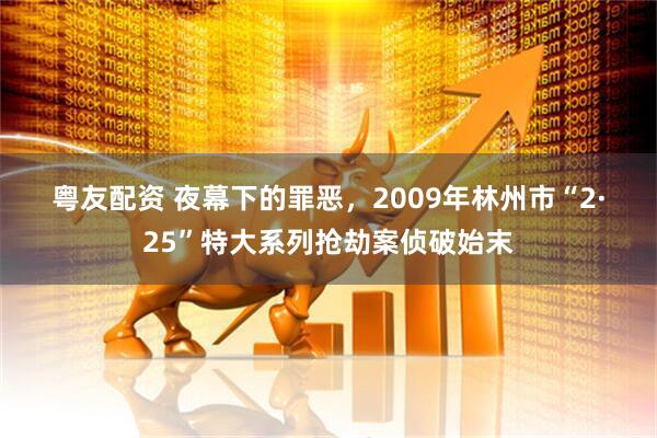 粤友配资 夜幕下的罪恶，2009年林州市“2·25”特大系列抢劫案侦破始末