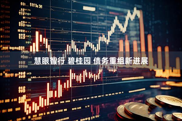 慧眼智行 碧桂园 债务重组新进展