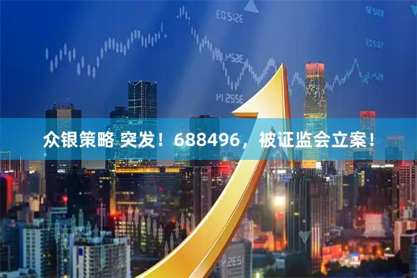 众银策略 突发！688496，被证监会立案！