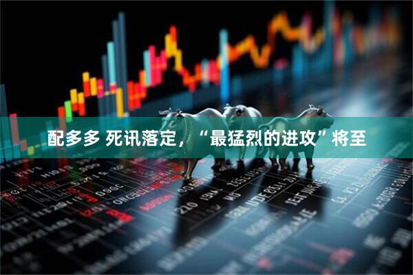 配多多 死讯落定，“最猛烈的进攻”将至